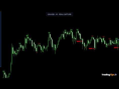 Video SMC Trade Pilot MT5
