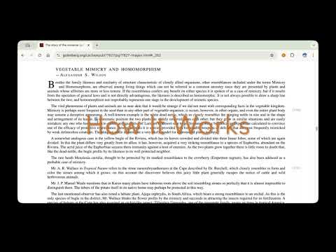 Item video thumbnail