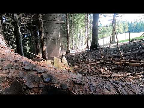 Sprengung von WW2 Munition durch den Kampfmittelräumdienst