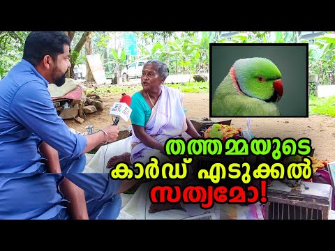 തത്തമ്മയുടെ കാര്ഡ് എടുക്കല് സത്യമോ! talking parrot Indian Kerala
