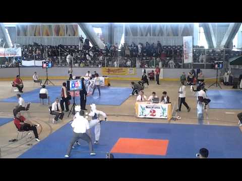 Samurai Berlin Taekwondo Team Berlin Open 10.05.2014 Ali 125216