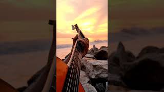 Download lagu Tum Hi Ho | Aashiqui 2 | Fingerstyle Guitar Cover by Swathi Krishna mp3