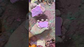 Download lagu Blue Chalk ASMR Crush Video #shorts #reels #asmr mp3 Download lagu Blue Chalk ASMR Crush Video #shorts #reels #asmr mp3