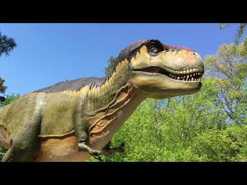 Digital Dinosaurs Set PROMO