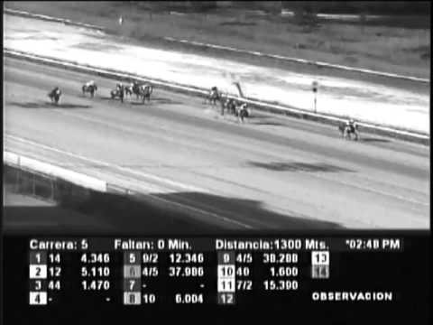 Resumen La Rinconada - viernes 13 de diciembre de 2012