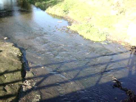 An October 2011 Anker Valley Video with Cara Dillon