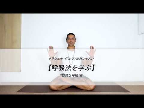 カンタリ科 - 定義