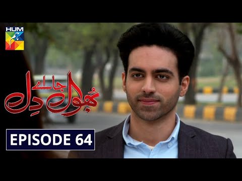 Bhool Jaa Ay Dil Episode 64 HUM TV Drama 11 February 2021