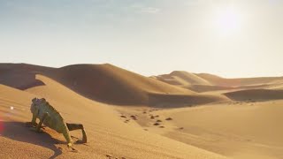 להירגע בדיונות - שינוי | בריחות מודעות |  BBC Earth