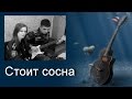 Песни под гитару. Стоит сосна (поёт девушка) 