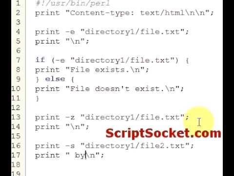 Perl Tutorial 33 - File Test Operators: -e, -z, -s, -d