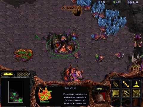 Let's Play Starcraft 1 (German) #49 - Durchsetzen