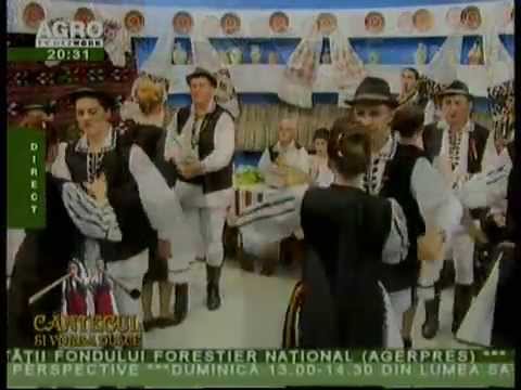 ANSAMBLUL RITMURI ZARANDENE - Invartita de pe Valea Muresului