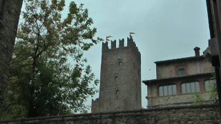 preview picture of video 'CASTELL'ARQUATO.mp4'