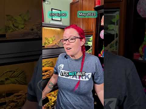 The Real Story S10 Ep90   #love #therealstory #couplegoals #tomthedom #ancestrydna