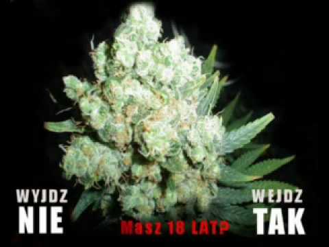 Spens & OCG Cluba na smurtta