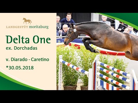 DELTA ONE v. Diarado - Caretino