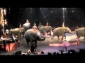 Ringling Bros RED Unit Elephants In Tampa January 5 2011