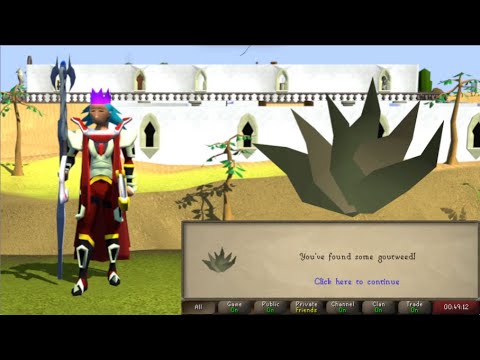 OSRS - Eadgar Ruse Goutweed Guide