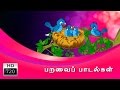 Birds Rhymes Collection In Tamil பறவை பாடல்கள் Cartoon Animated Rhymes Tamil