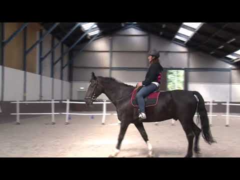 Bilttube - Open dag Prinses Maxima Manege 2018