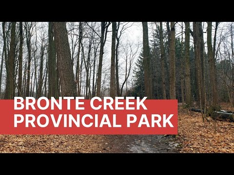Bronte Creek Provincial Park Hiking Trails