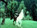 Khoon Pasina 1977 The Chase