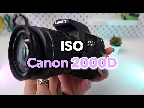 Canon EOS 2000D: ISO-Einstellungshandbuch
