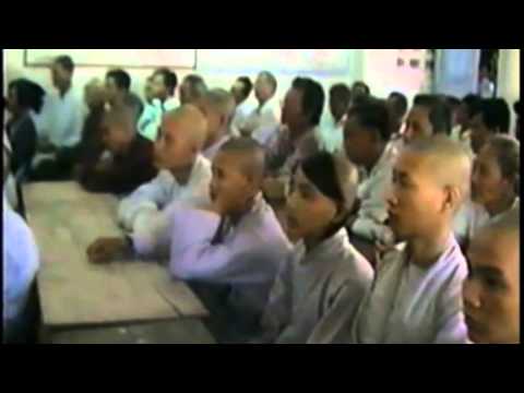 Tất cả thiền đều từ nơi Phật tánh