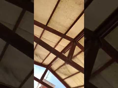 Lyambliya su un fegato Video di parassita lyambliya