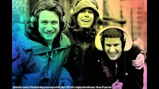 Beastie Boys - Brrr Stick &#39;Em (Album Version) LYRICS BELOW