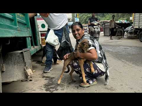 Anti Rabies Drive 2024