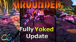 These Bugs Are Out Of Control! Grounded Fully Yoked Update.