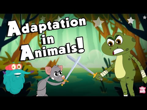1st YouTube video about which describes how blood can be protective in nature