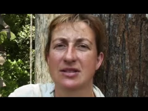 Thumbnail of the video: Searching for Orangutans | Expedition Borneo | BBC Studios