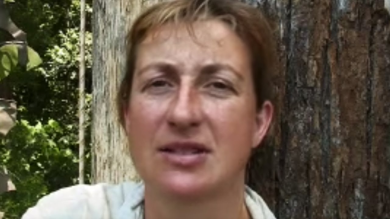 Searching for Orangutans | Expedition Borneo | BBC Studios