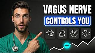 This Nerve Runs Your Entire Body [Here's What To Do Right Now]