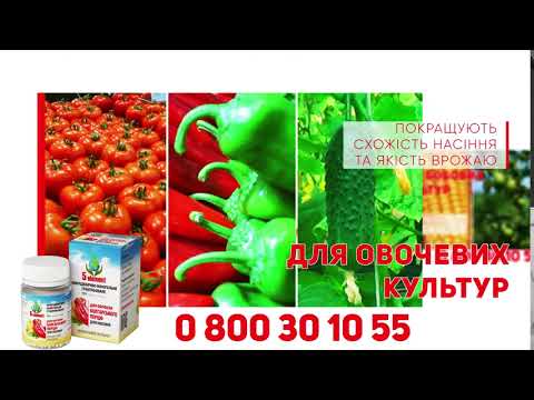 5 Element Реклама