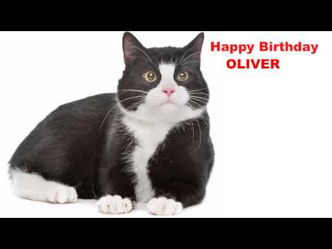 Oliver  Cats Gatos - Happy Birthday