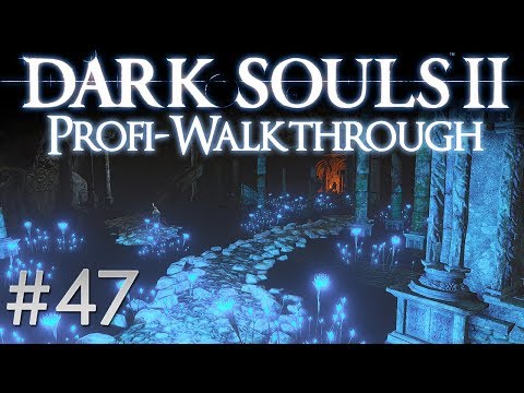 Dark Souls 2 Profi Walkthrough #47 | Schrein von Amana