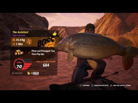 The Catch: Carp & Coarse Boss Carpe The Architect Ebro