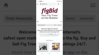 Tree For Sale - Figbid.com