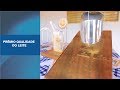 Caso De Sucesso 215 Qualidade Na Produção De Leite Casos De Sucesso Fazenda Santo Antônio
