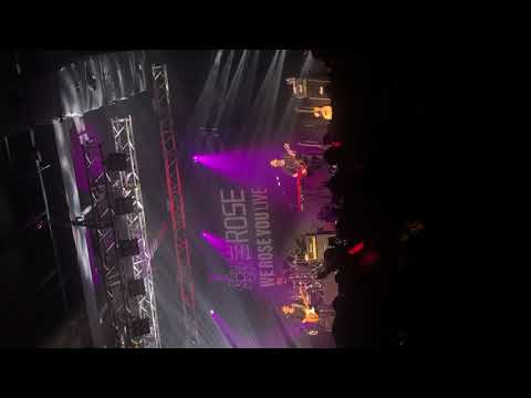 The Rose - Photographer ( We Rose You Live in Kuala Lumpur) 2019