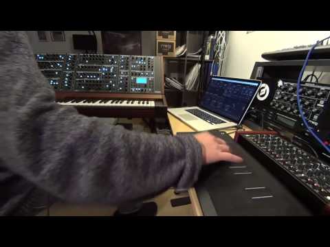 Schmidt and the ROLI Seaboard Rise. And a special appearance of the MFB Tanzbär