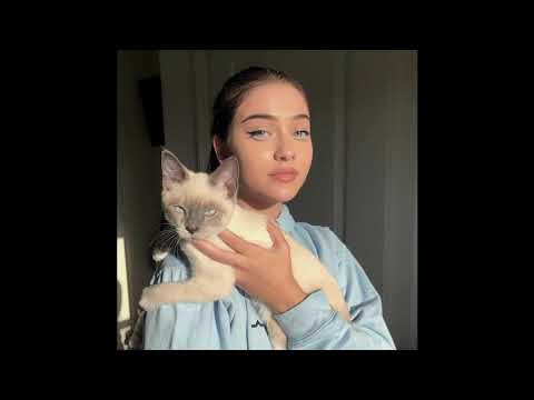 (free) rin x reezy x shindy type beat - "engel sind über mir" | prod by @ecgotthejuice