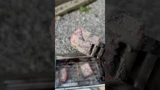 【試作品】ベトナム産　炭