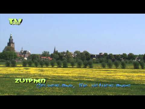 Hanseatic town of Zutphen - skyline