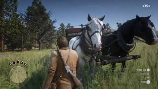 How to to remove a horse from a wagon Tutorial!!! MUST WATCH
