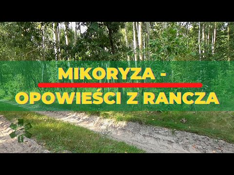 Mycorrhiza – Tales from the Ranch 4